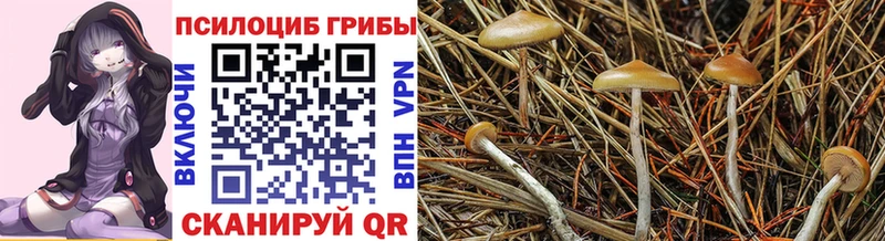 Галлюциногенные грибы прущие грибы  Альметьевск 